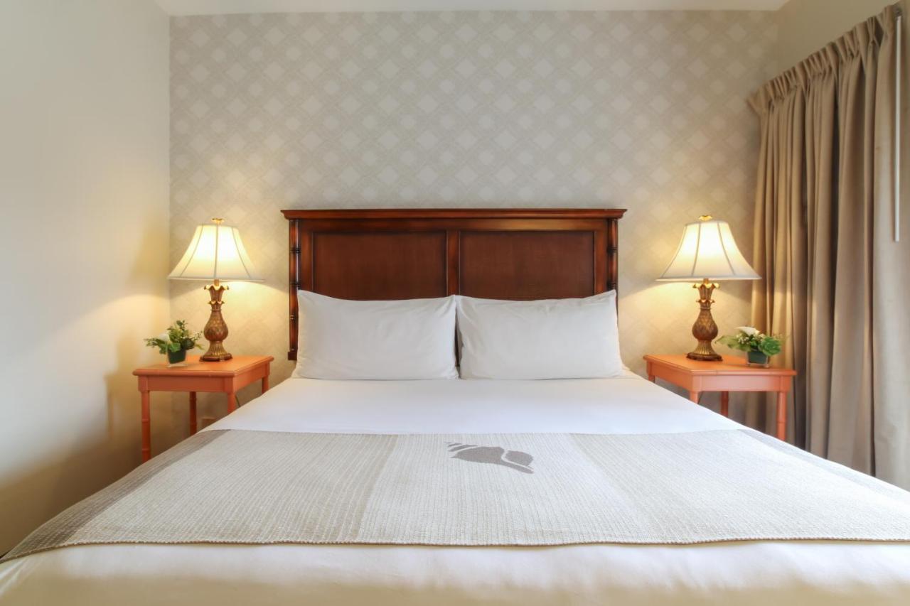 Oxford Pismo 3*