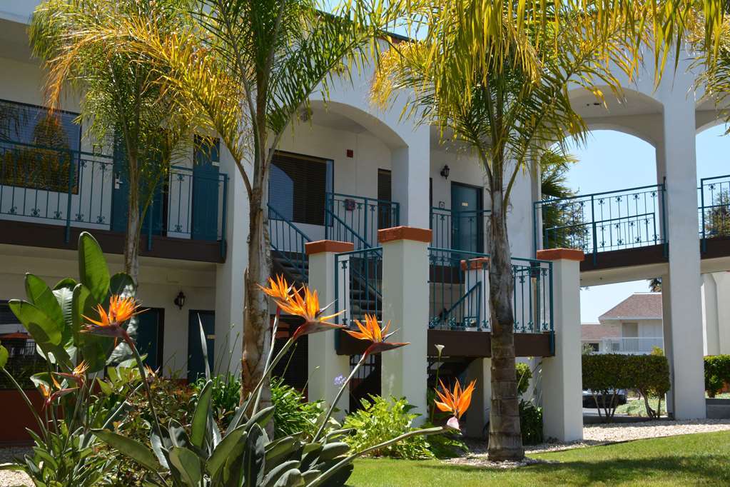Oxford Pismo Hotel 3*