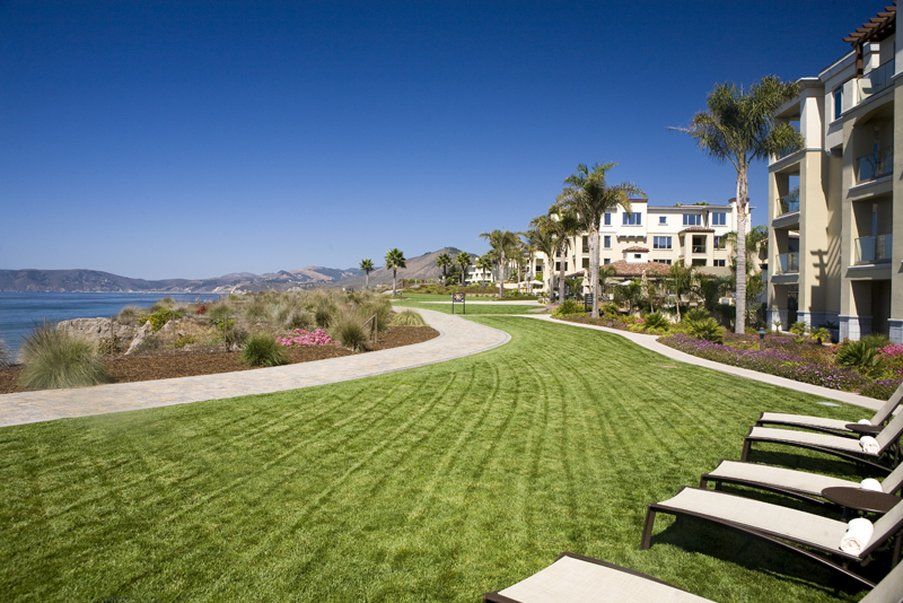 Dolphin Bay And Resort 4*